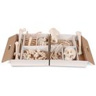Disarticulated Half Human Skeleton Model, Loosely Articulated Hand & Foot - 3B Smart Anatomy